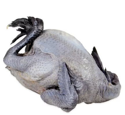 KADAKNATH (BLACK CHICKEN)